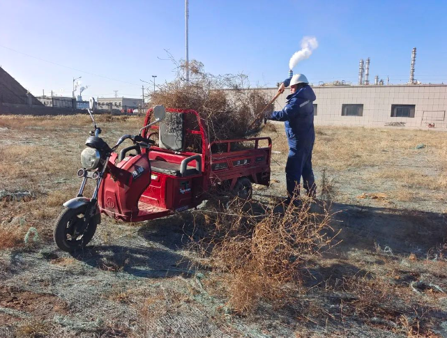 271709023560156579.png image.png